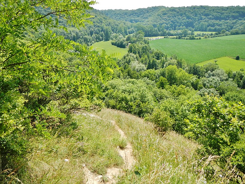 Natur im Leudelsbachtal